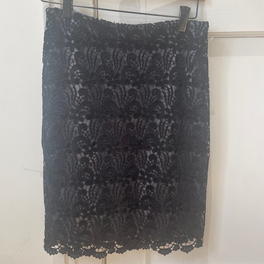 Ann Taylor Skirt Size 0, Lace Over Silver Lining - Picture 3 of 8